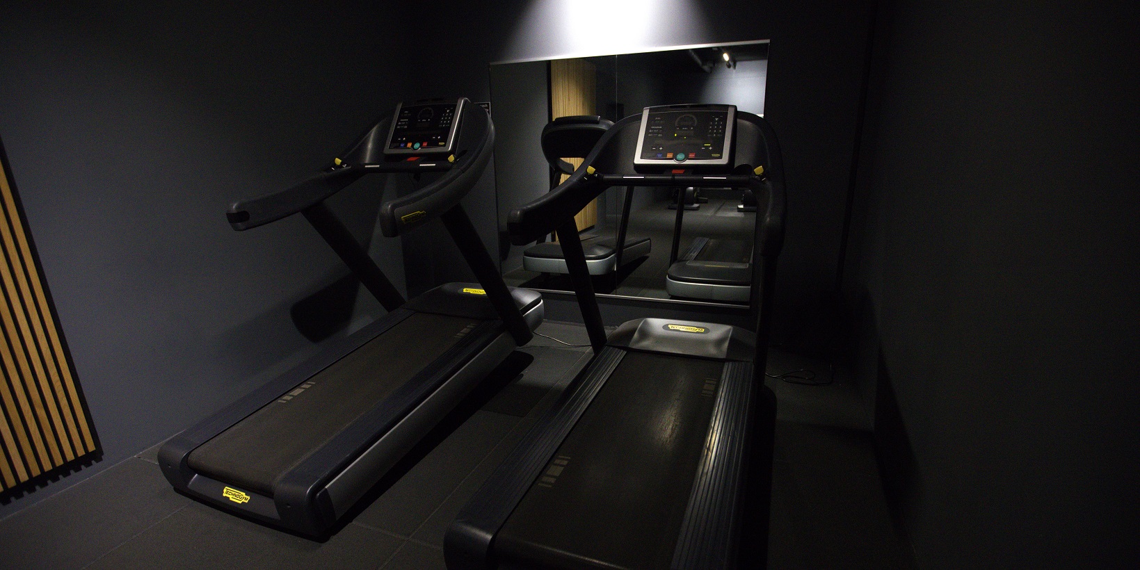 Fitnessstudio in Stockstadt am main Cardiobereich - Laufband