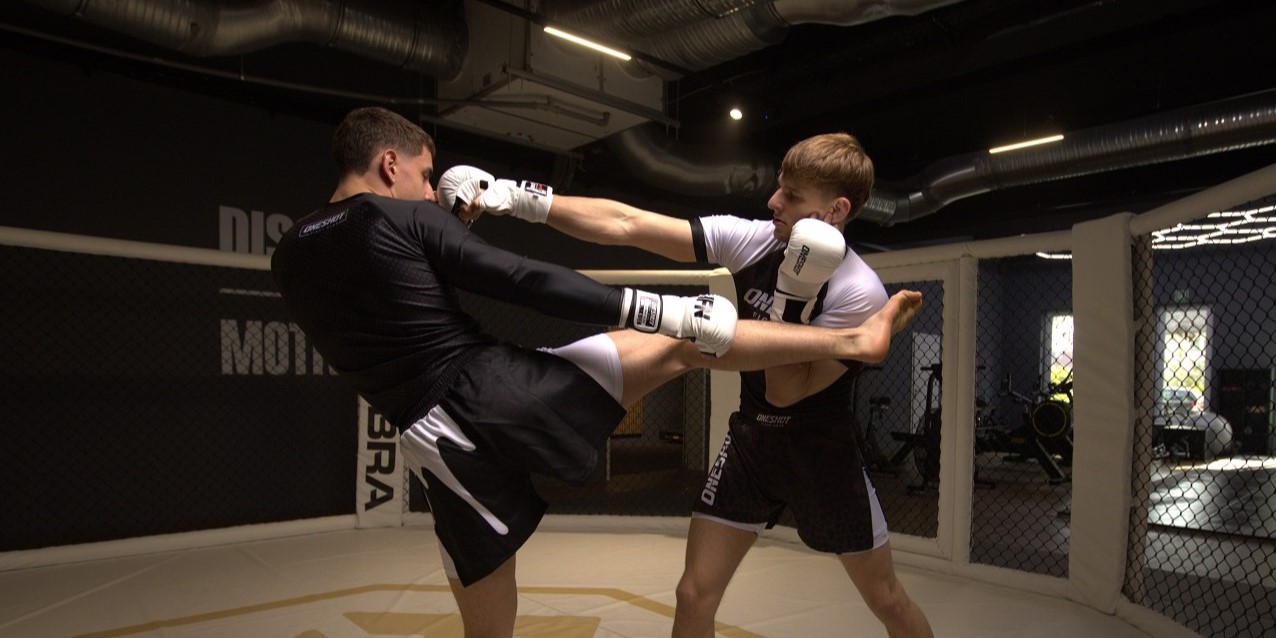 MMA in Aschaffenburg - middlekick